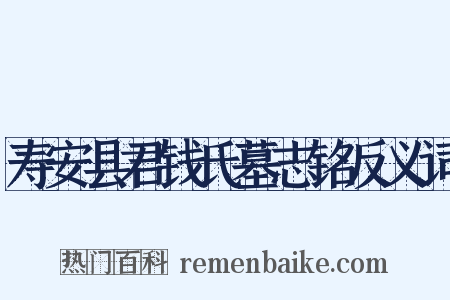 寿安县君钱氏墓志铭反义词是什么意思的图片